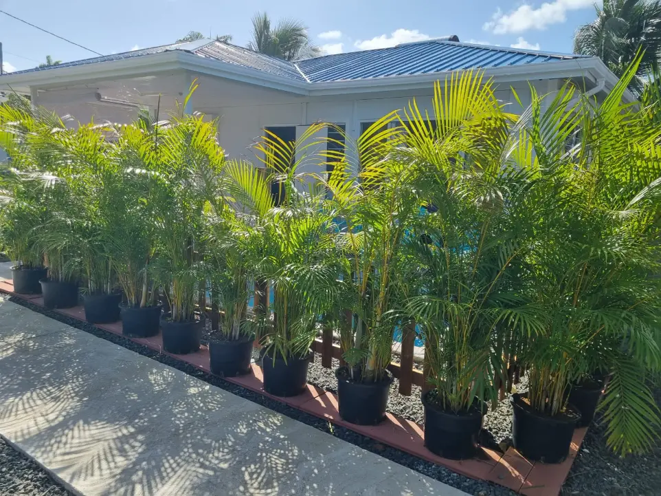 Guadeloupe