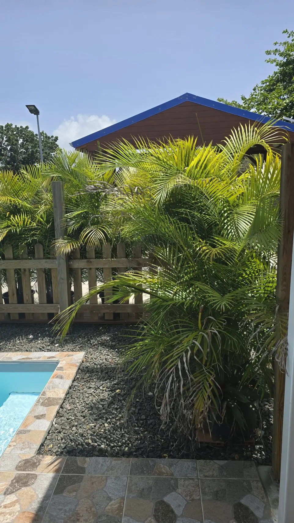 Piscine et Jardin